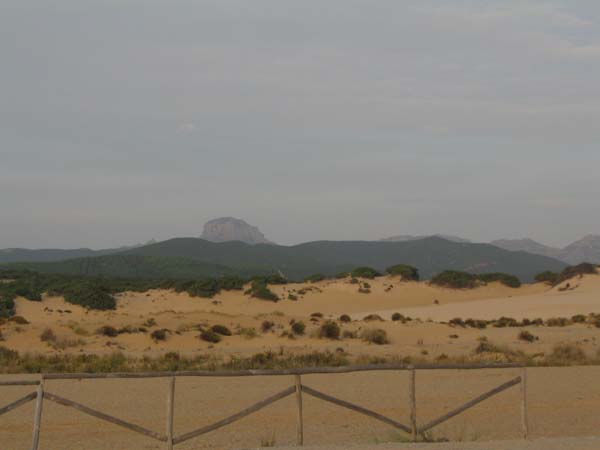 19 Dunes de Las PISCINAS