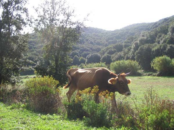 21 Sardaigne du Nord au Sud