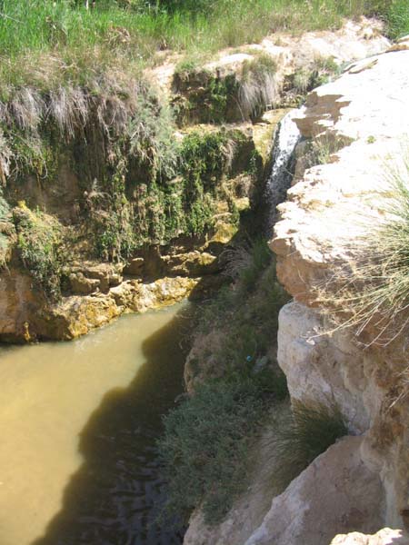 21 TAMERZA Petite cascade